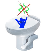 RV Toilet Small 2 